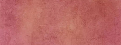 Danique 20X8 Ultracloth ( 240 X 96 Inch ) Backdrop