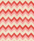 Pink Pattern Backdrop for Photography