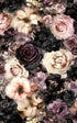 White Pink Purple Black  Backdrop for Photography