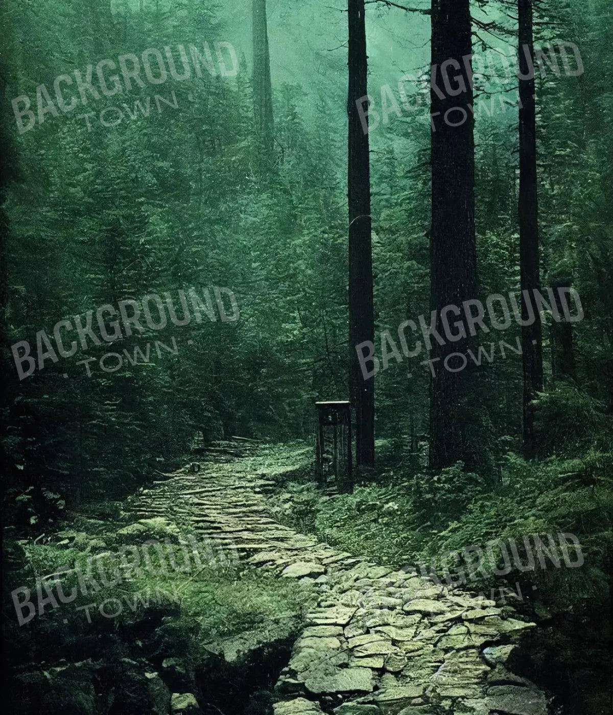 Dark Path 10X12 Ultracloth ( 120 X 144 Inch ) Backdrop