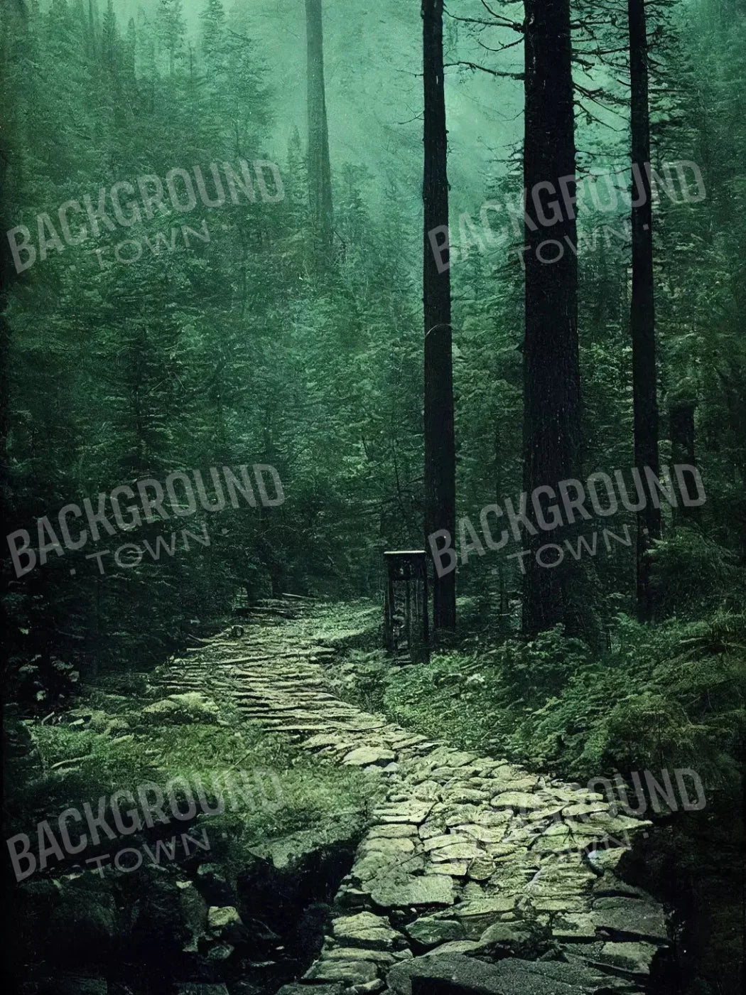Dark Path 5X7 Ultracloth ( 60 X 84 Inch ) Backdrop