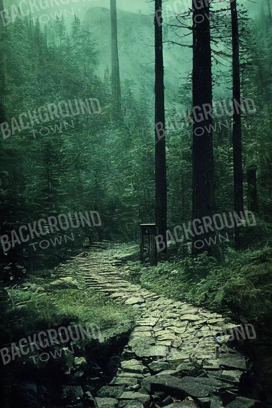 Dark Path 5X8 Ultracloth ( 60 X 96 Inch ) Backdrop