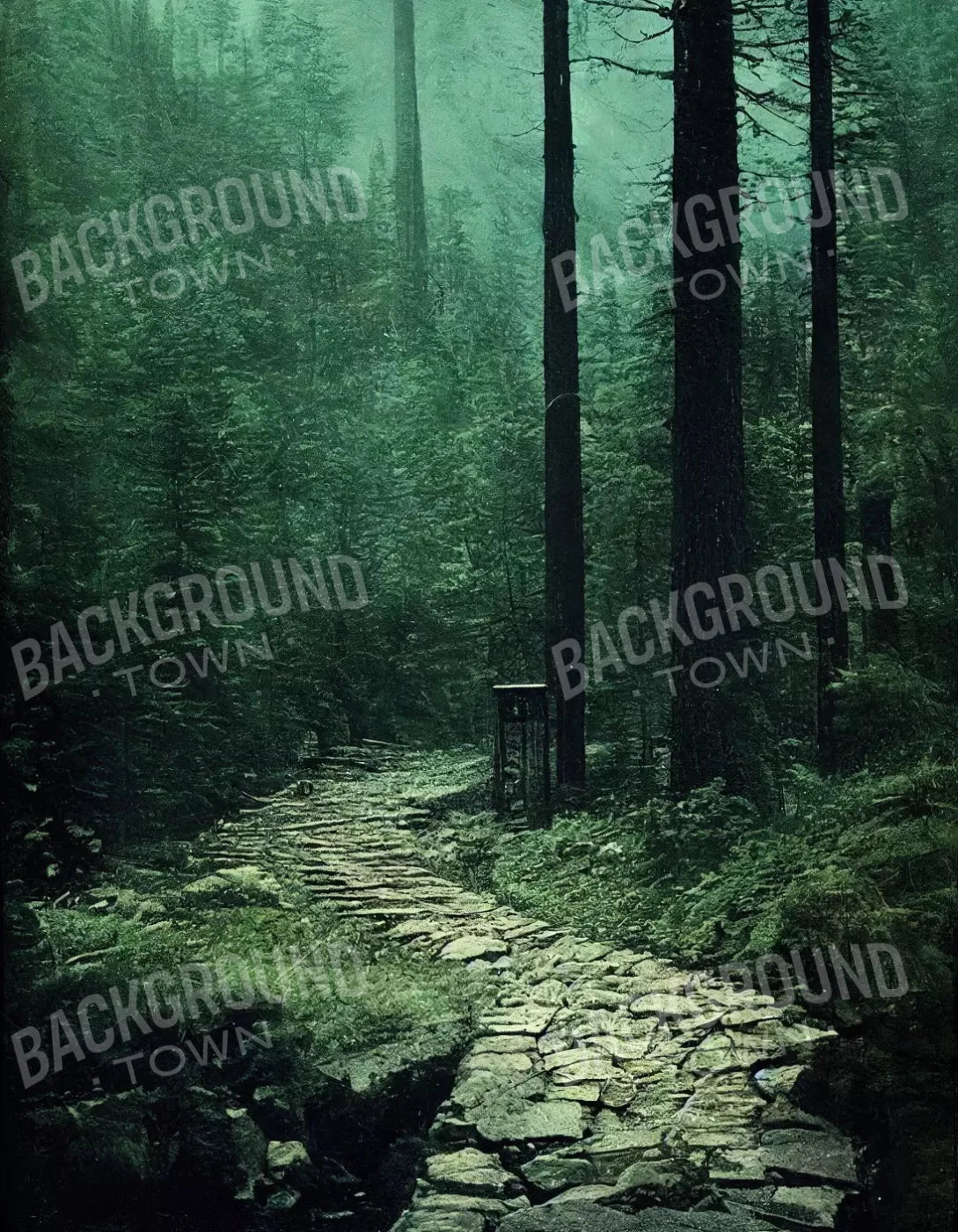 Dark Path 6X8 Fleece ( 72 X 96 Inch ) Backdrop