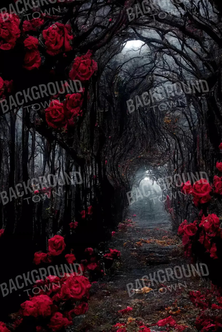 Dark Tunnel 5X8 Ultracloth ( 60 X 96 Inch ) Backdrop