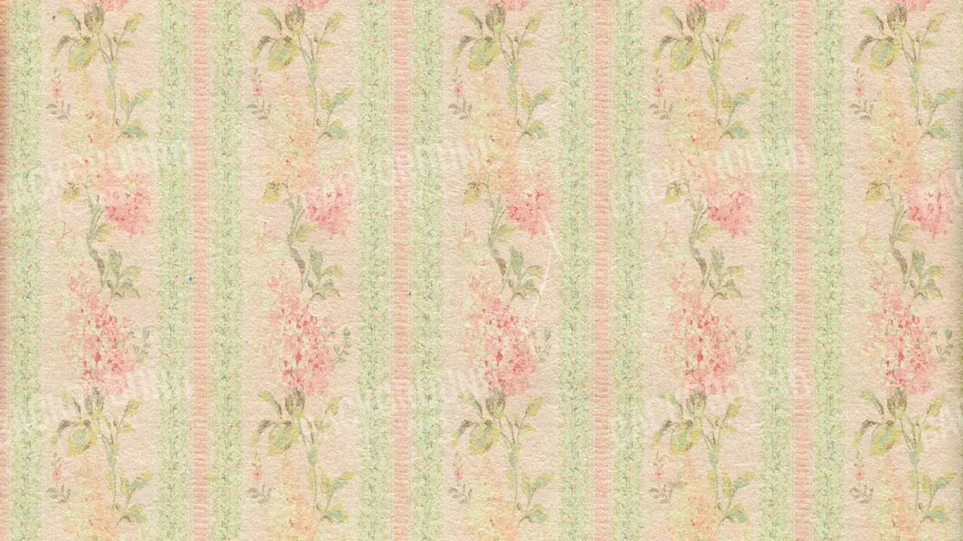 Darlene 14X8 Ultracloth ( 168 X 96 Inch ) Backdrop