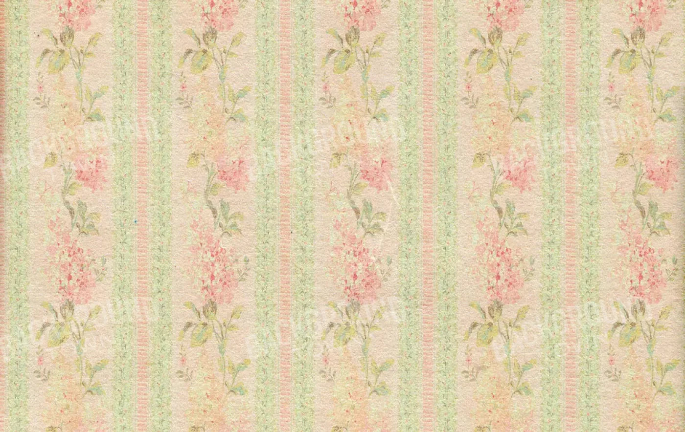 Darlene 16X10 Ultracloth ( 192 X 120 Inch ) Backdrop