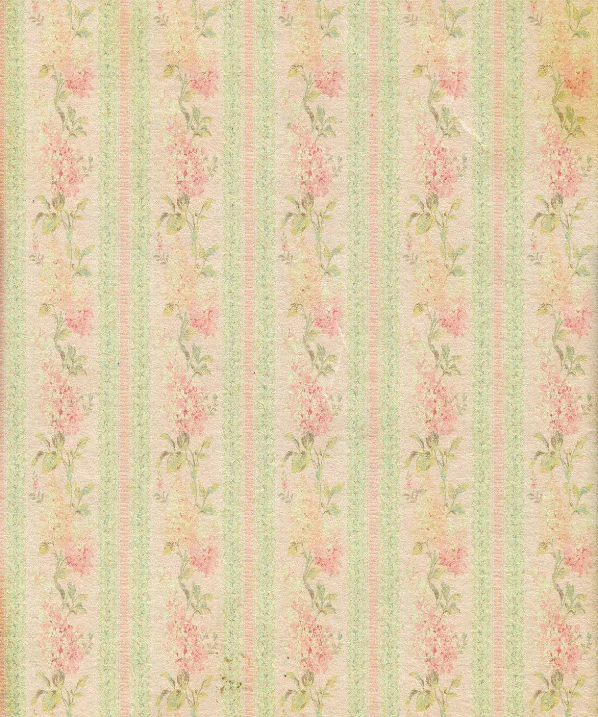 Beige Floral Backdrop for Photography