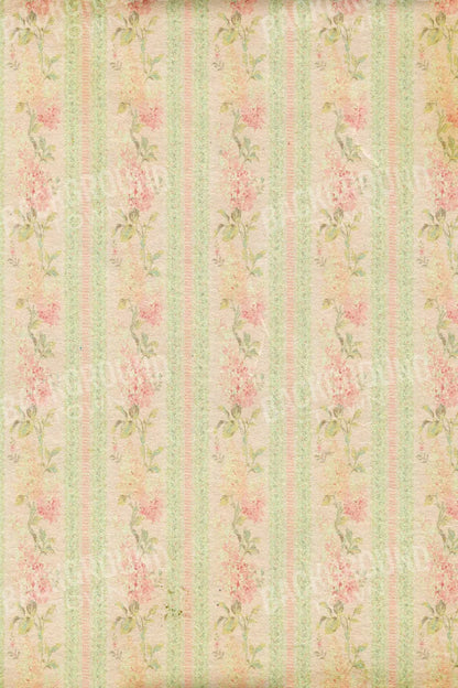 Darlene 5X8 Ultracloth ( 60 X 96 Inch ) Backdrop