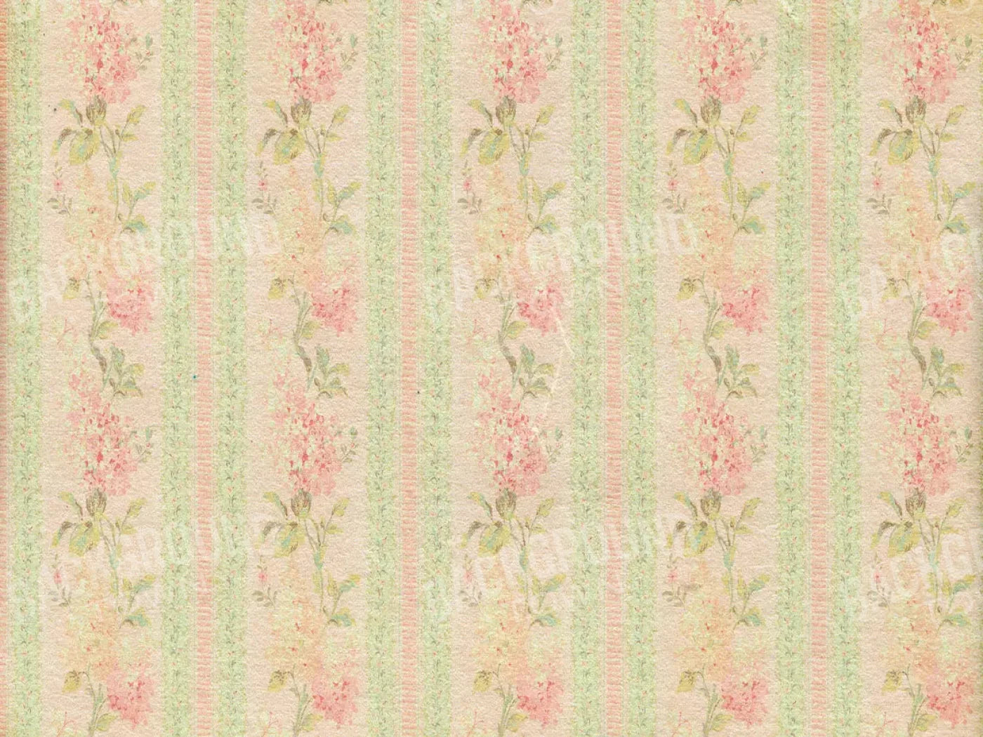 Darlene 68X5 Fleece ( 80 X 60 Inch ) Backdrop