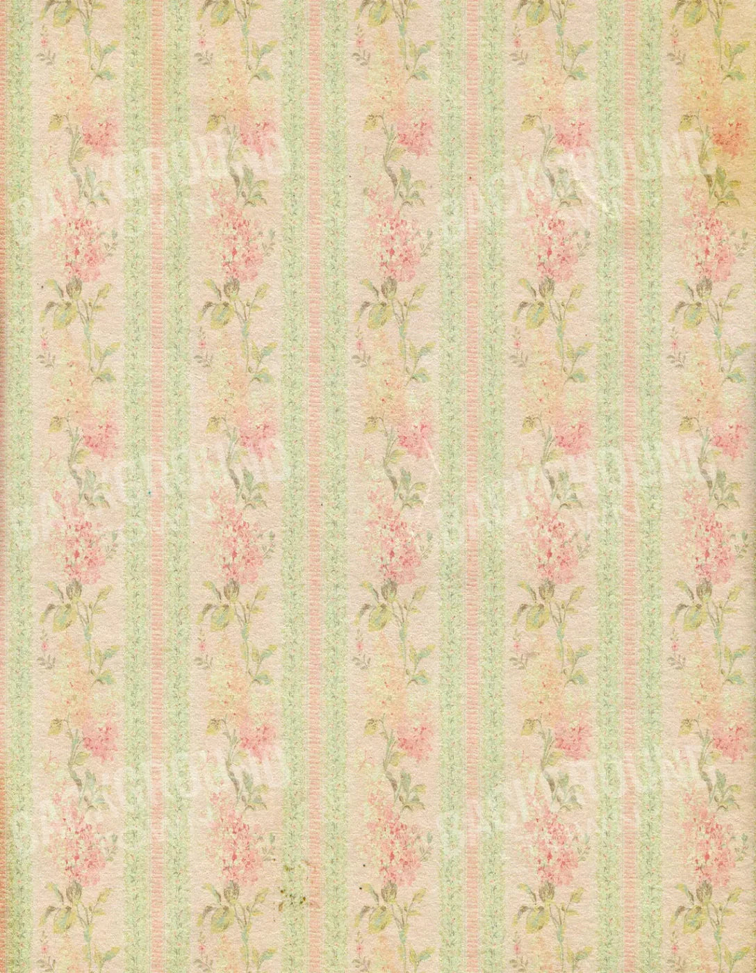 Darlene 6X8 Fleece ( 72 X 96 Inch ) Backdrop