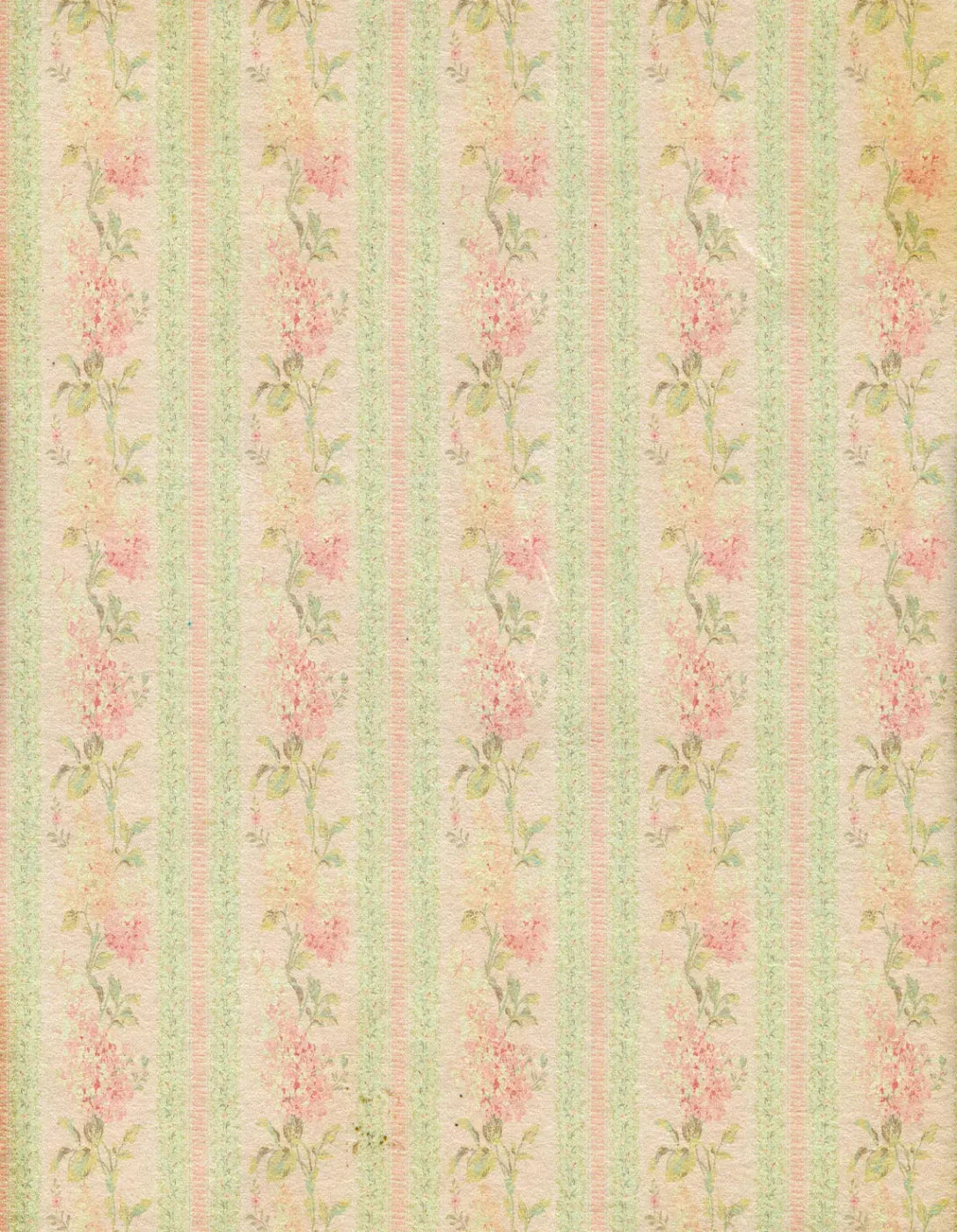 Darlene 6X8 Fleece ( 72 X 96 Inch ) Backdrop
