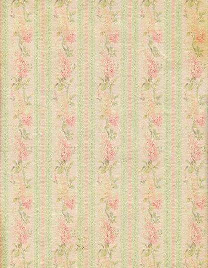 Darlene 6X8 Fleece ( 72 X 96 Inch ) Backdrop
