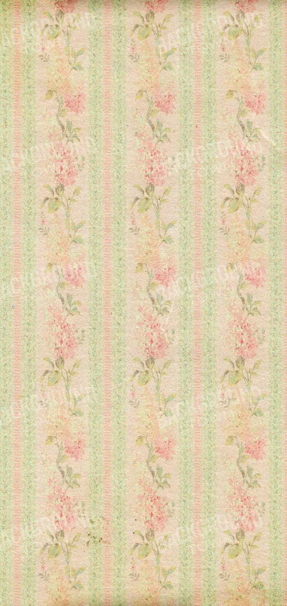 Darlene 8X16 Ultracloth ( 96 X 192 Inch ) Backdrop