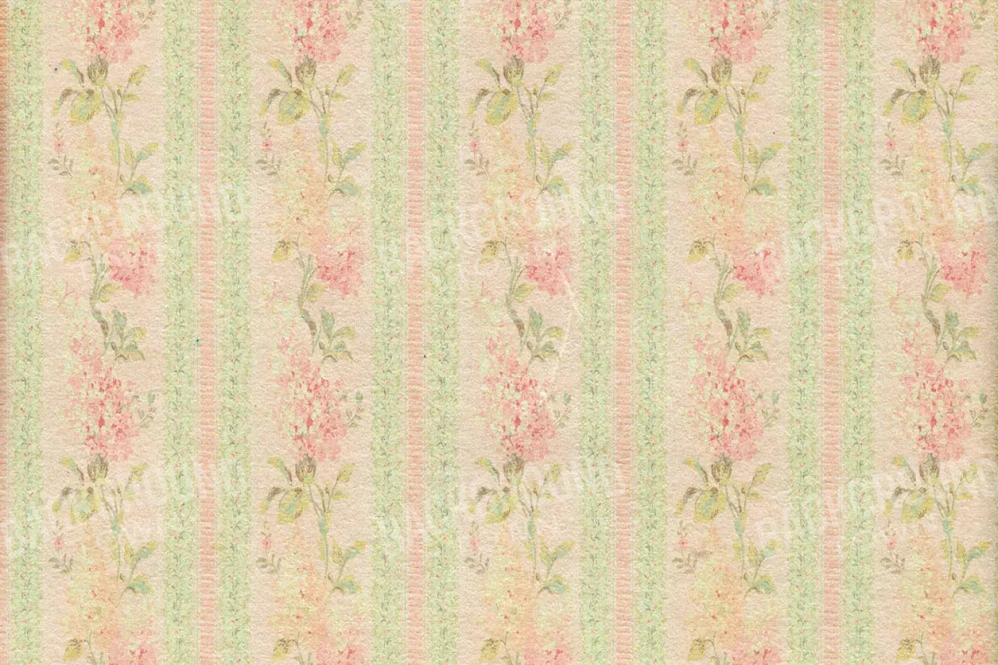 Darlene 8X5 Ultracloth ( 96 X 60 Inch ) Backdrop