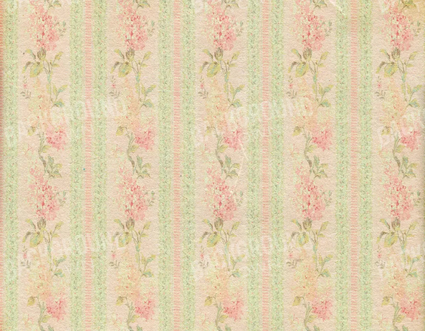 Darlene 8X6 Fleece ( 96 X 72 Inch ) Backdrop