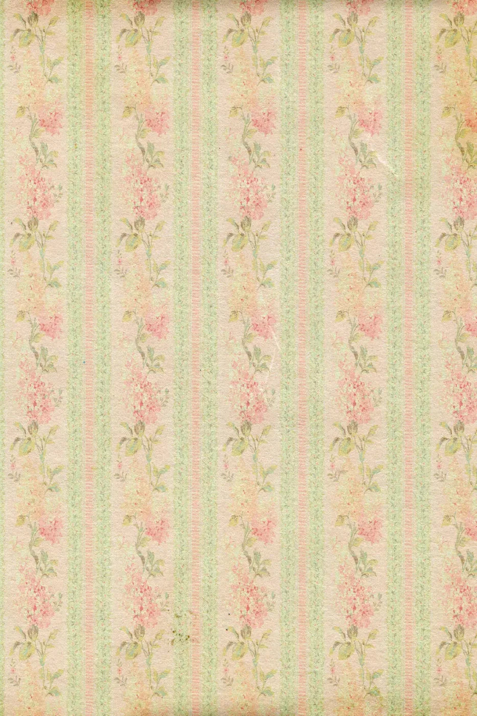 Darlene Backdrop