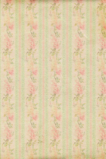 Darlene Backdrop
