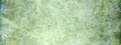Dawson 20X8 Ultracloth ( 240 X 96 Inch ) Backdrop