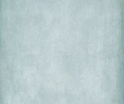 Daydream Blue 5X42 Fleece ( 60 X 50 Inch ) Backdrop