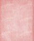 Pink Classic and Masters Backdrop for Photography