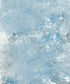 Blue Classic and Masters Backdrop for Photography