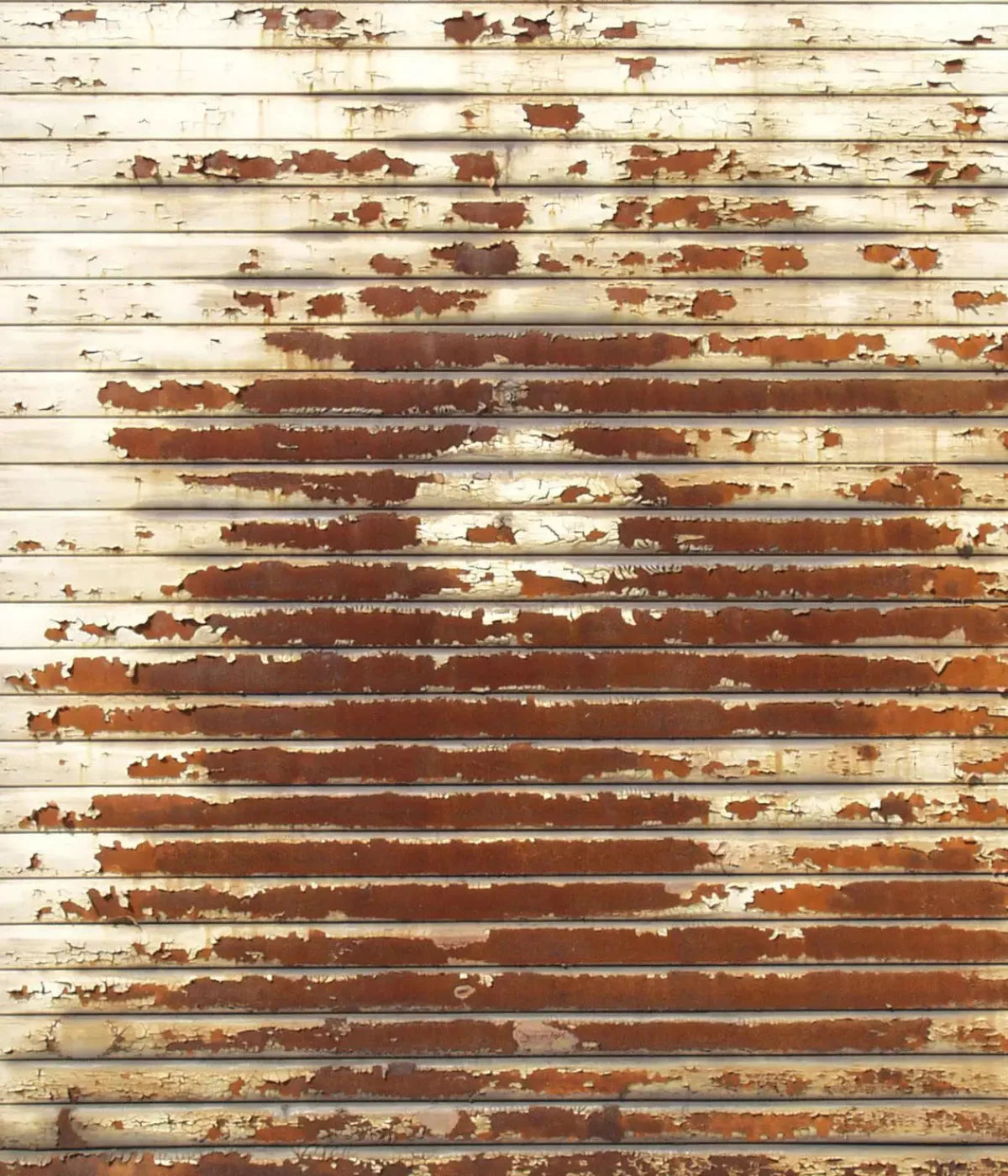 Decayed 10X12 Ultracloth ( 120 X 144 Inch ) Backdrop