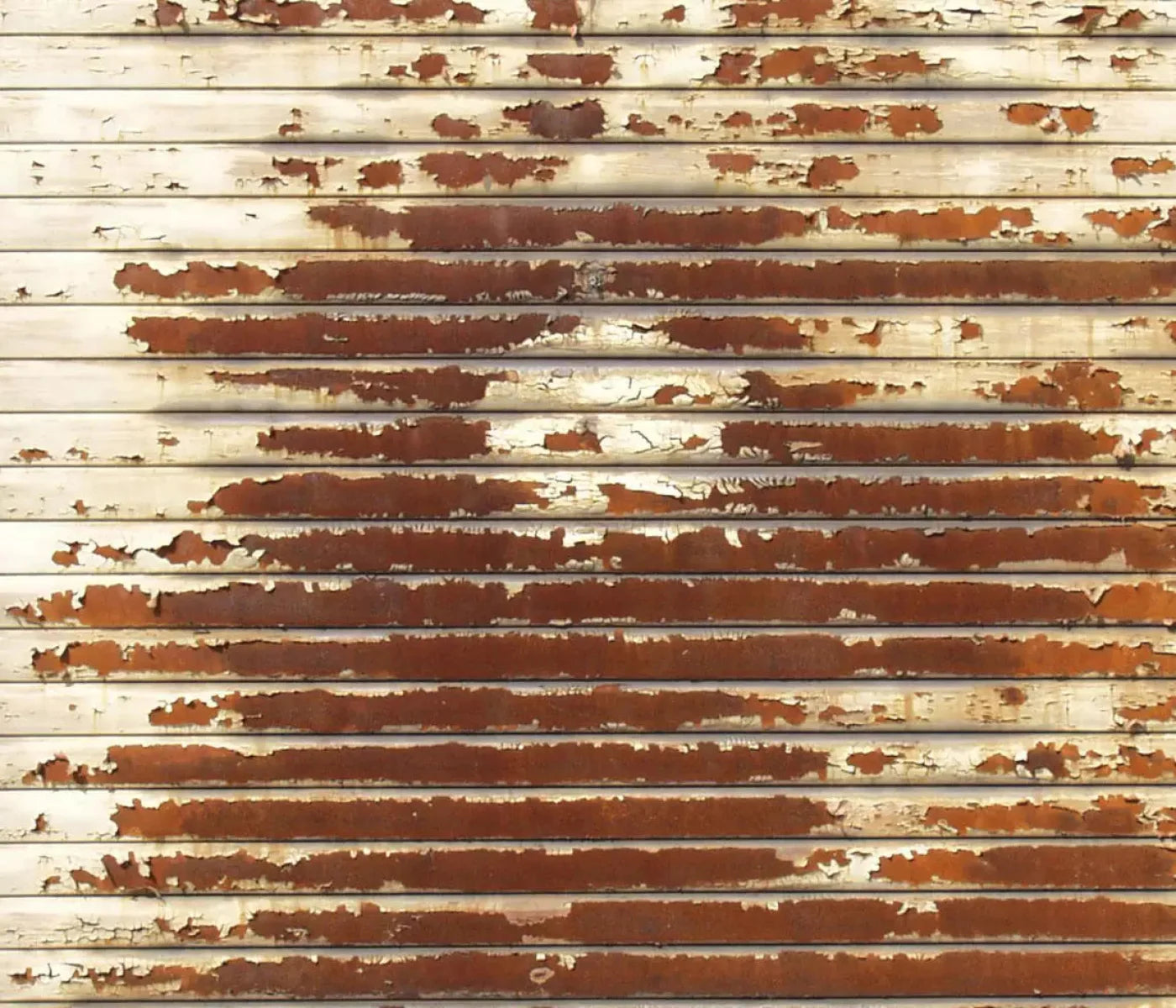 Decayed 12X10 Ultracloth ( 144 X 120 Inch ) Backdrop