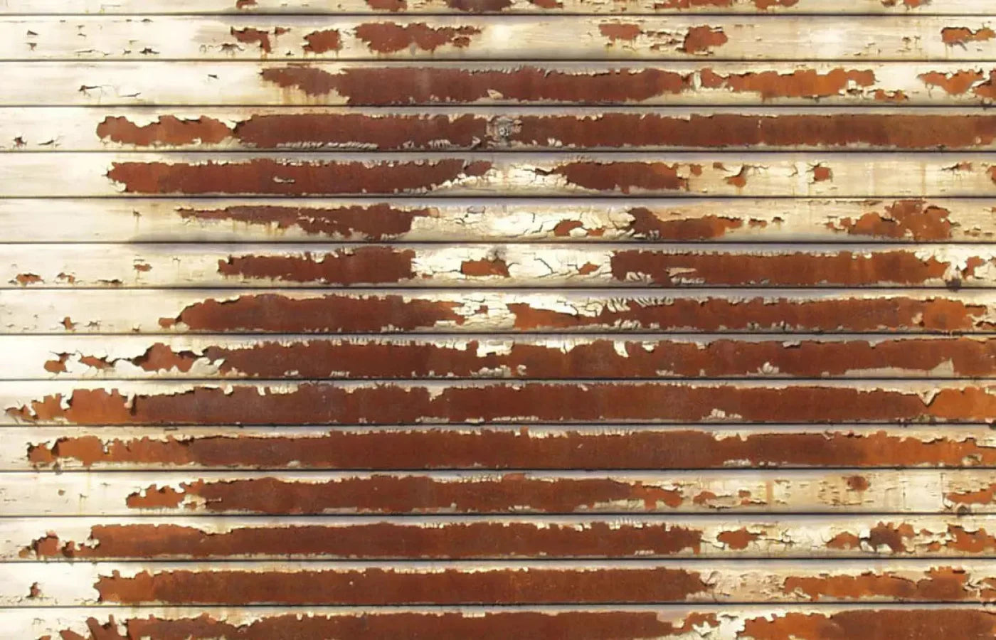 Decayed 12X8 Ultracloth ( 144 X 96 Inch ) Backdrop