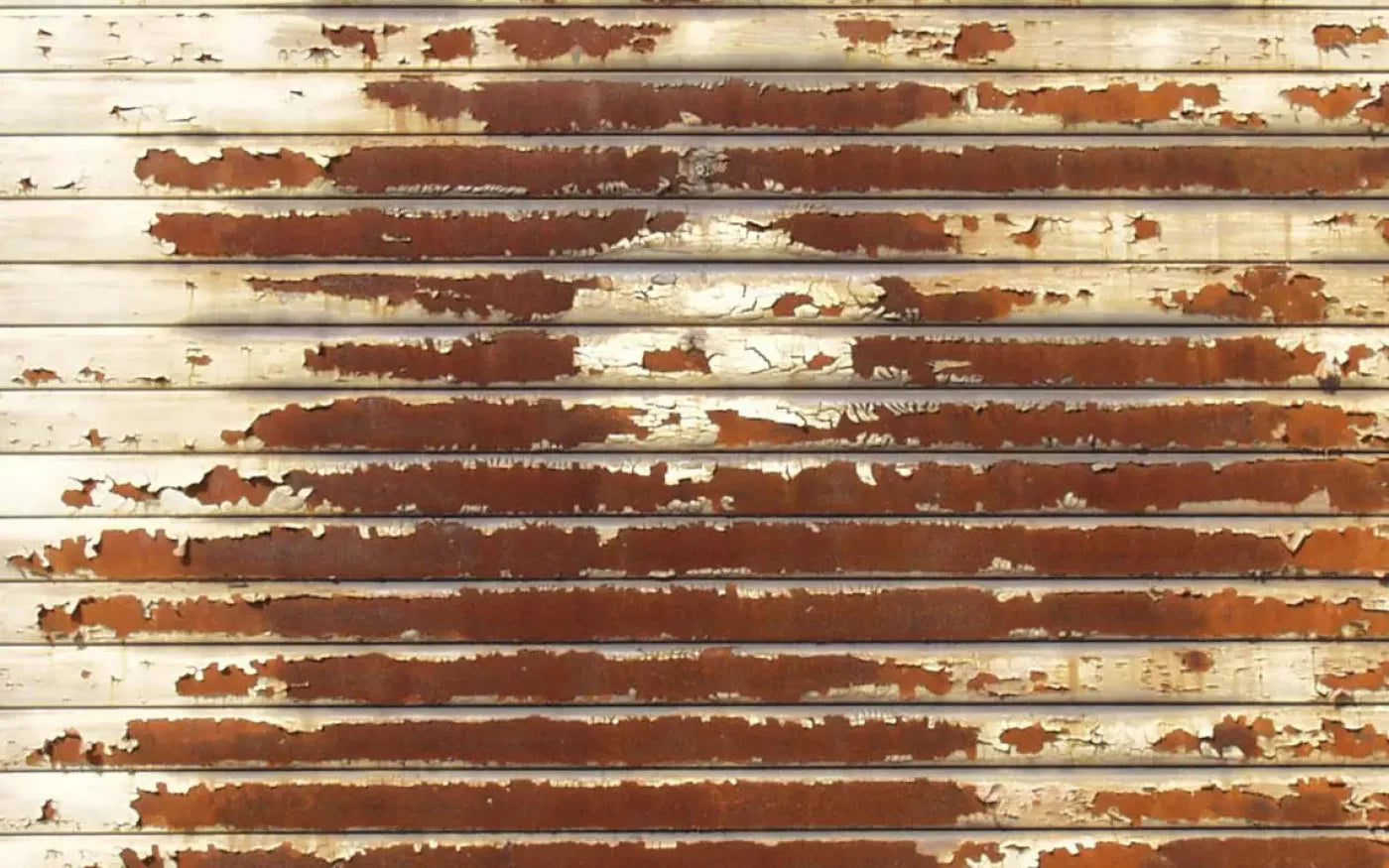 Decayed 14X9 Ultracloth ( 168 X 108 Inch ) Backdrop
