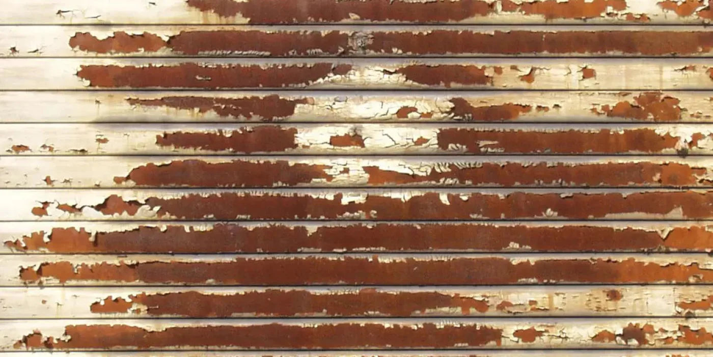 Decayed 20X10 Ultracloth ( 240 X 120 Inch ) Backdrop