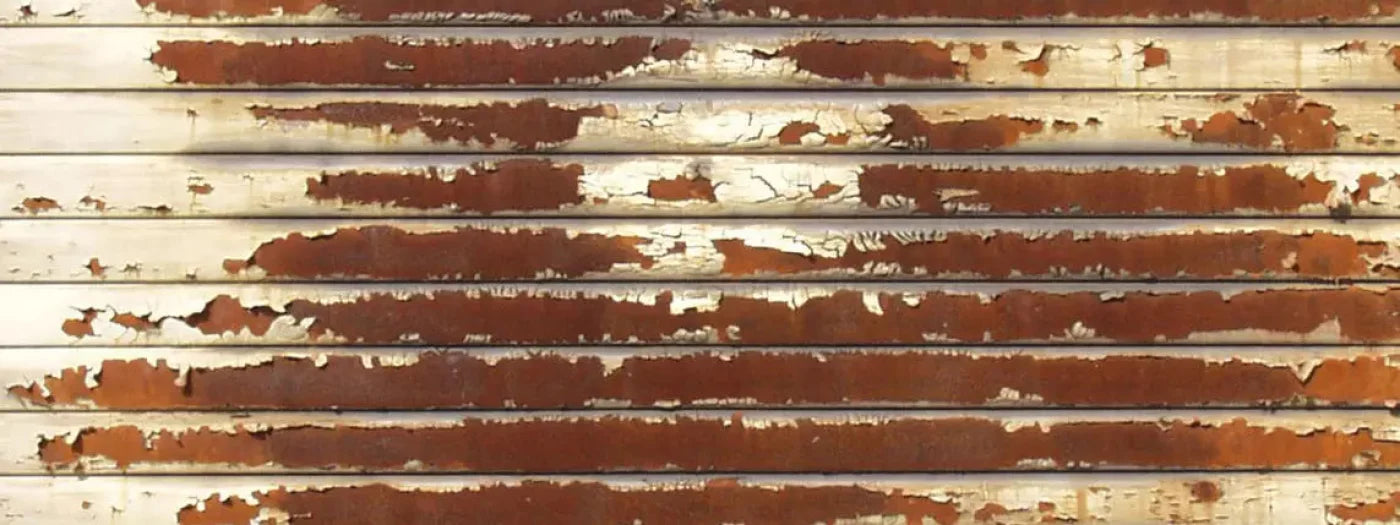 Decayed 20X8 Ultracloth ( 240 X 96 Inch ) Backdrop