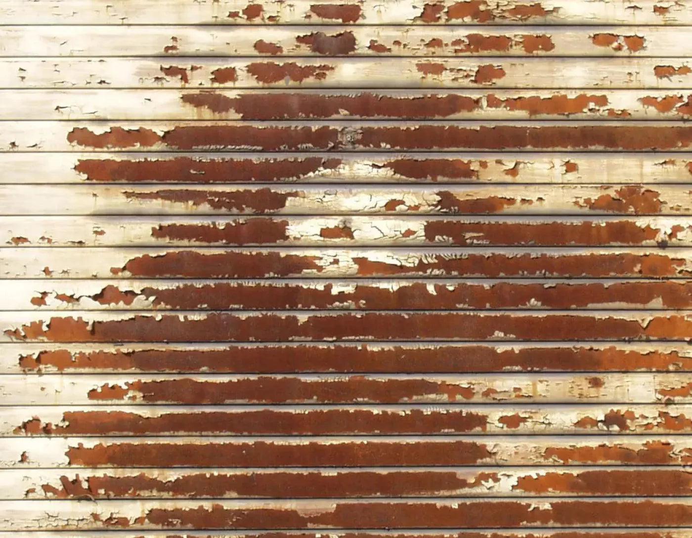 Decayed 8X6 Fleece ( 96 X 72 Inch ) Backdrop