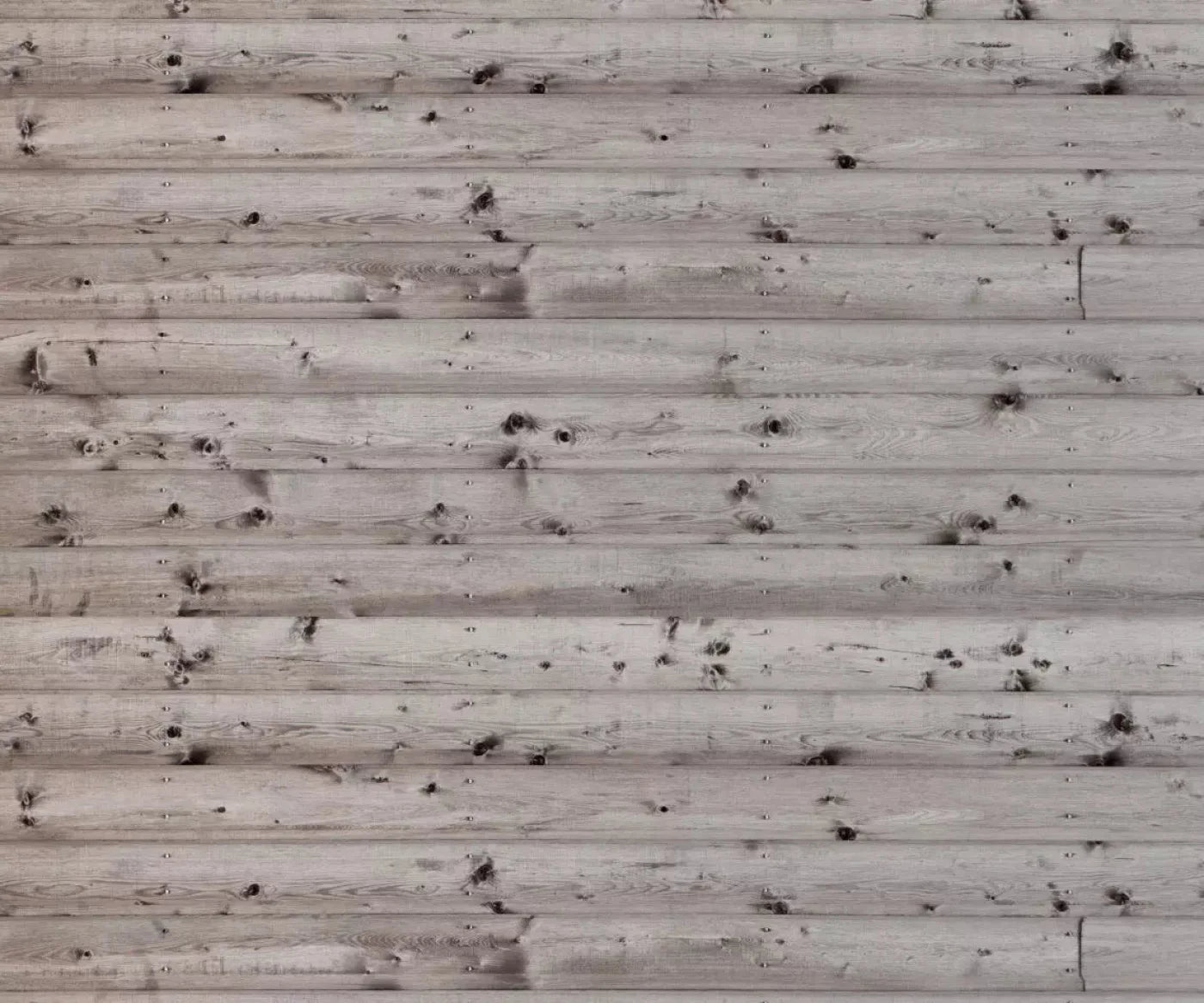 Decked Out 5X42 Fleece ( 60 X 50 Inch ) Backdrop
