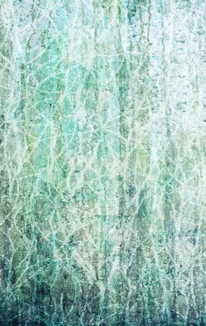 Decline 10X16 Ultracloth ( 120 X 192 Inch ) Backdrop