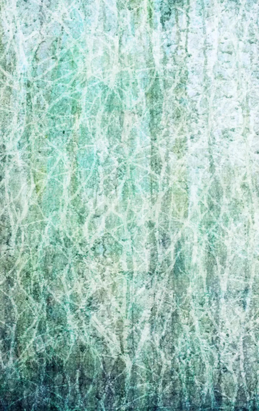 Decline 10X16 Ultracloth ( 120 X 192 Inch ) Backdrop