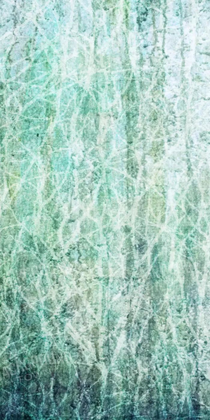 Decline 10X20 Ultracloth ( 120 X 240 Inch ) Backdrop