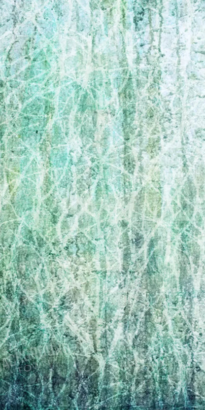 Decline 10X20 Ultracloth ( 120 X 240 Inch ) Backdrop