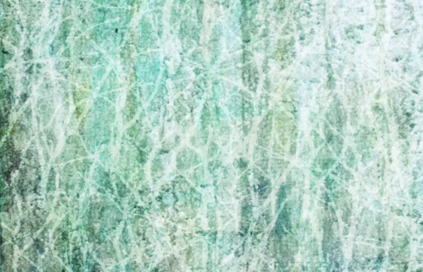 Decline 12X8 Ultracloth ( 144 X 96 Inch ) Backdrop