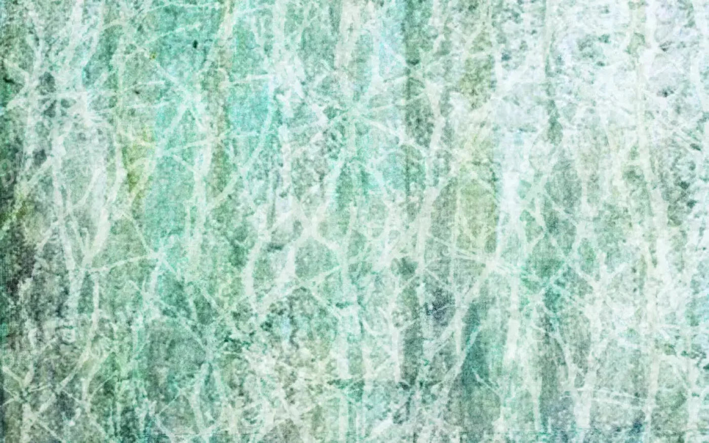 Decline 14X9 Ultracloth ( 168 X 108 Inch ) Backdrop