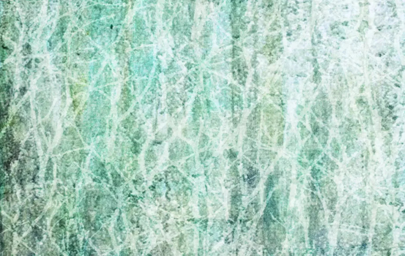 Decline 16X10 Ultracloth ( 192 X 120 Inch ) Backdrop