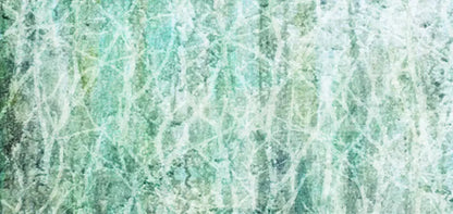 Decline 16X8 Ultracloth ( 192 X 96 Inch ) Backdrop