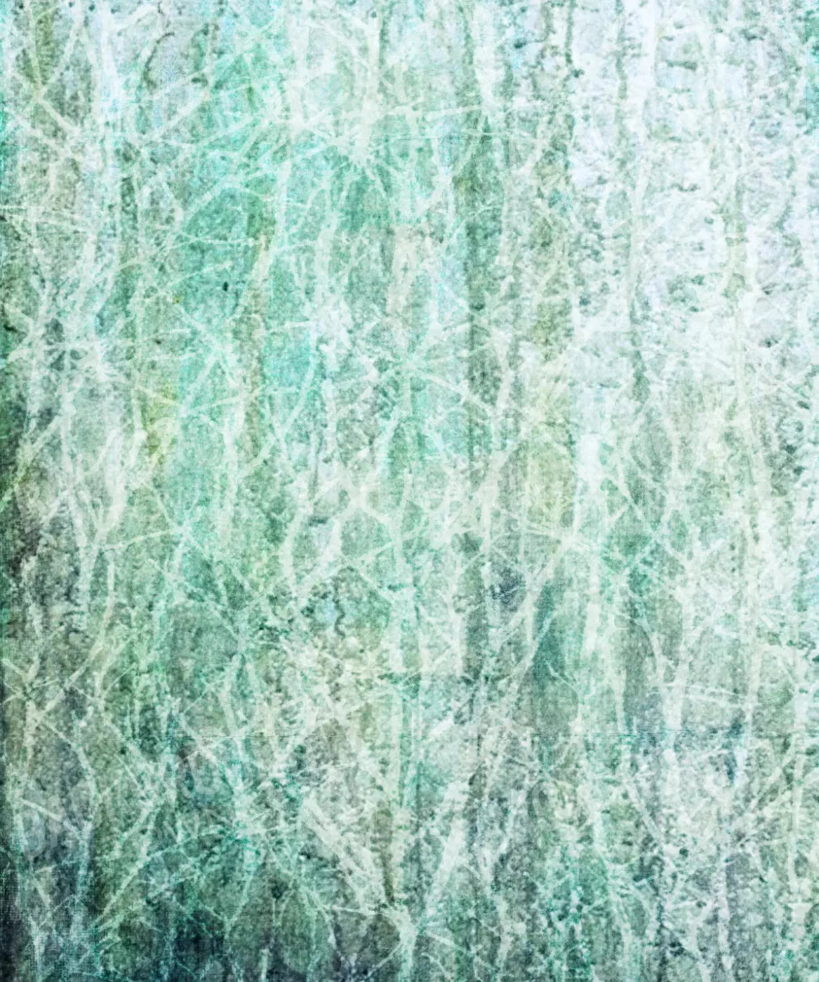 Green Urban Grunge Backdrop for Photography