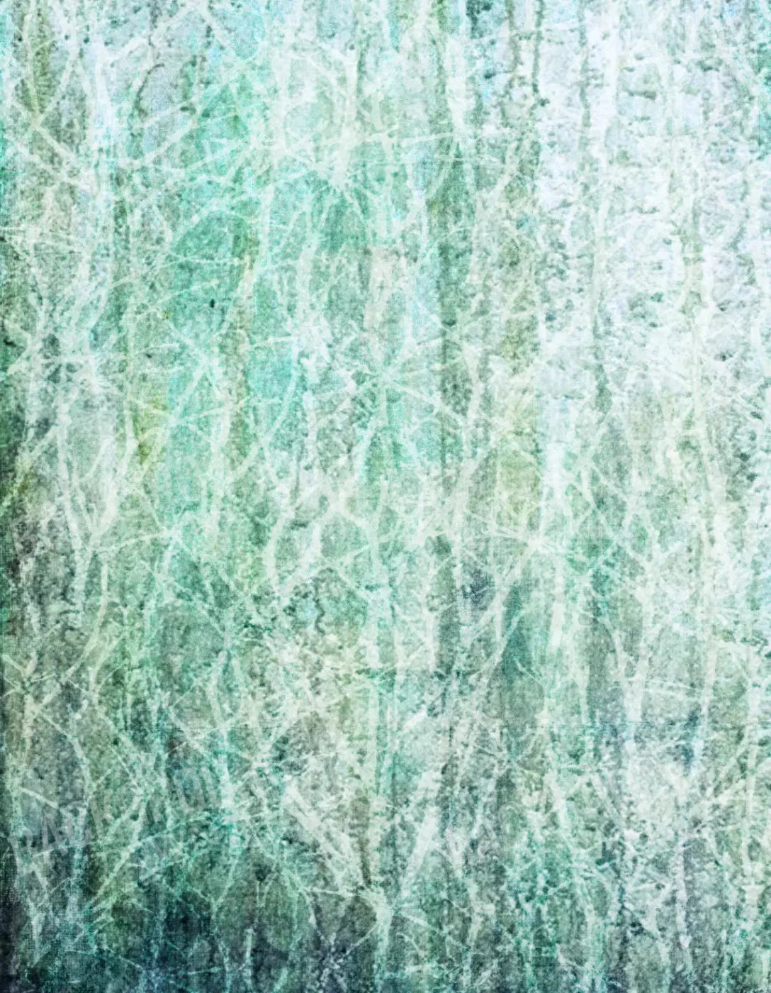 Decline 6X8 Fleece ( 72 X 96 Inch ) Backdrop