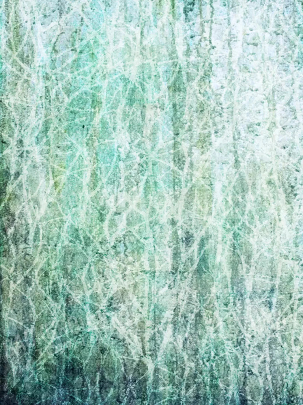 Decline 8X10 Fleece ( 96 X 120 Inch ) Backdrop