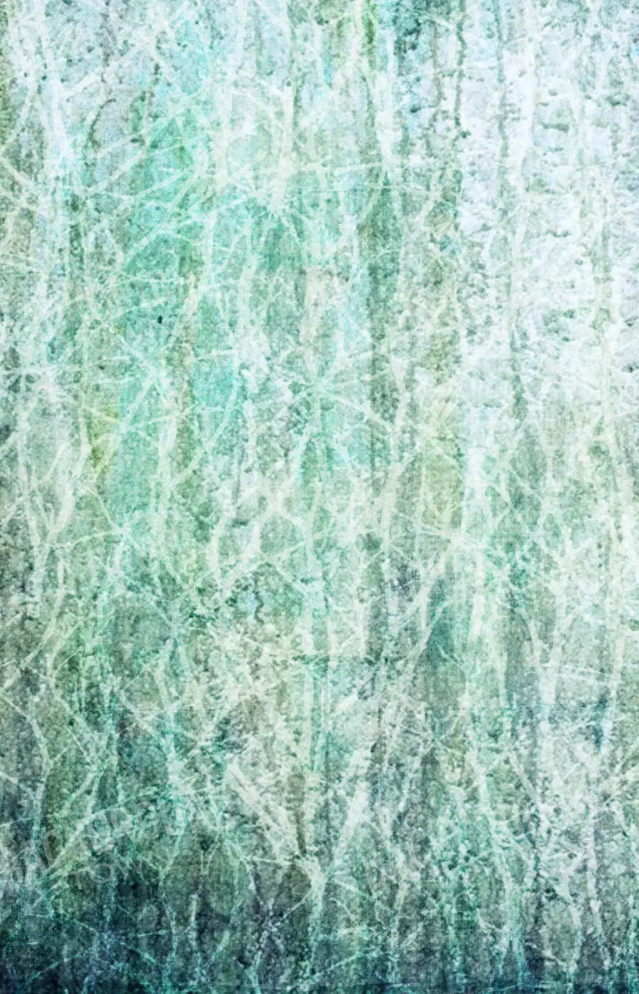 Decline 8X12 Ultracloth ( 96 X 144 Inch ) Backdrop