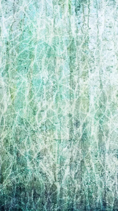 Decline 8X14 Ultracloth ( 96 X 168 Inch ) Backdrop