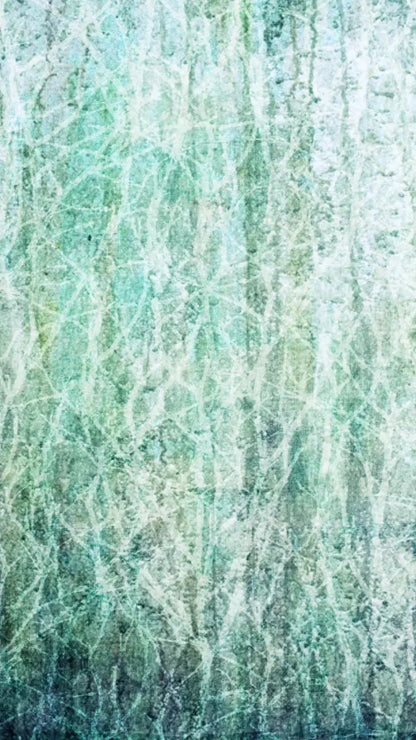 Decline 8X14 Ultracloth ( 96 X 168 Inch ) Backdrop