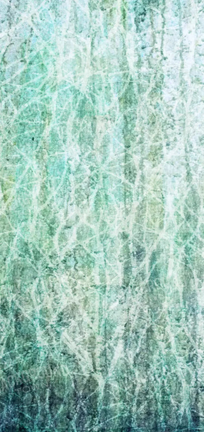 Decline 8X16 Ultracloth ( 96 X 192 Inch ) Backdrop