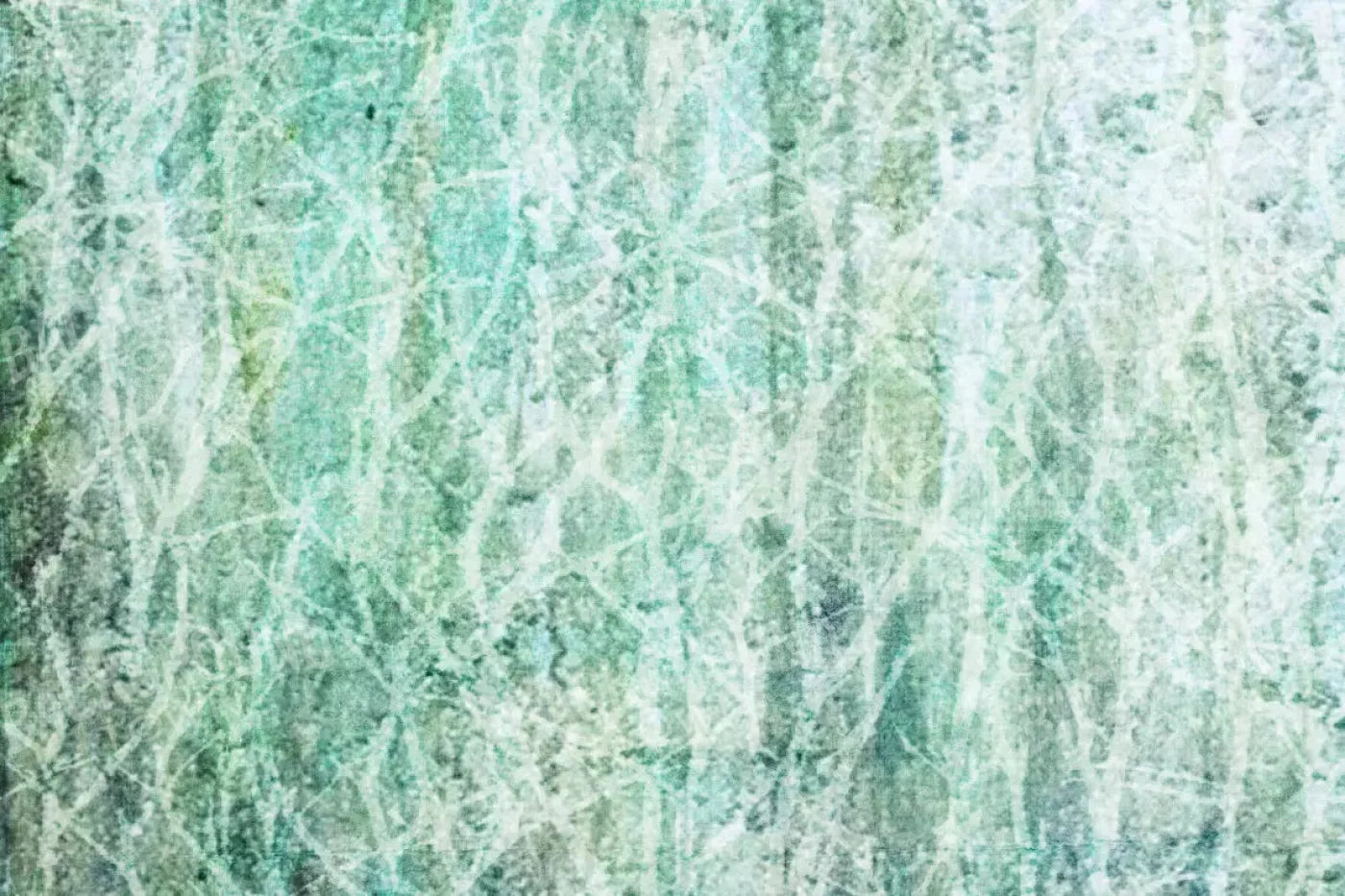 Decline 8X5 Ultracloth ( 96 X 60 Inch ) Backdrop