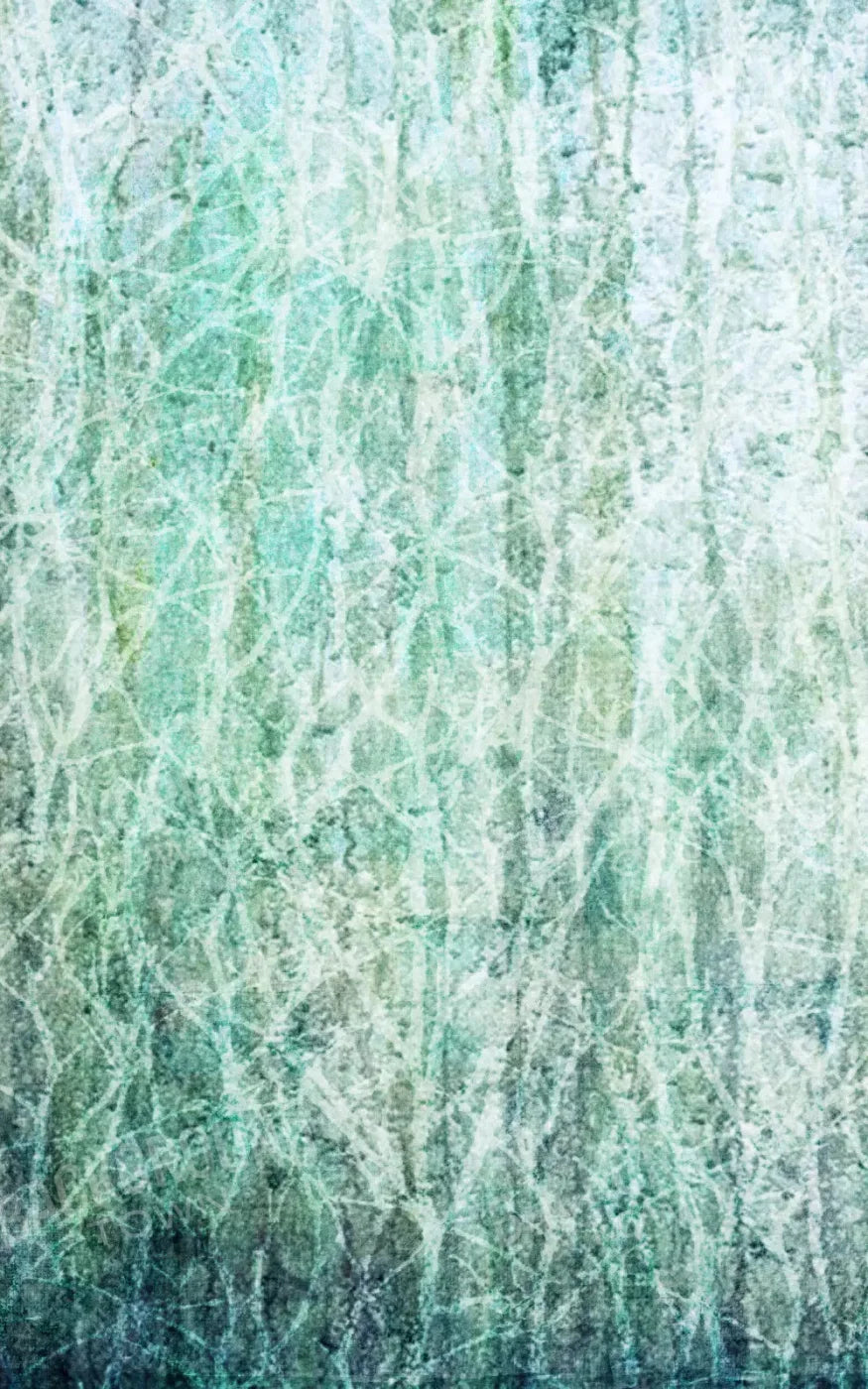 Decline 9X14 Ultracloth ( 108 X 168 Inch ) Backdrop